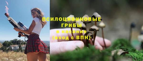 MDMA Богородицк