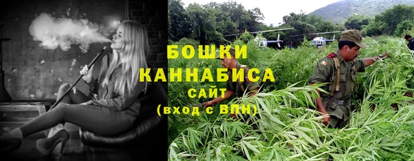 MDMA Богородицк