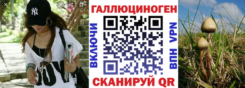 Псилоцибиновые грибы мухоморы  Кологрив 