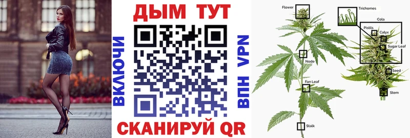 Канабис ГИДРОПОН  Кологрив 